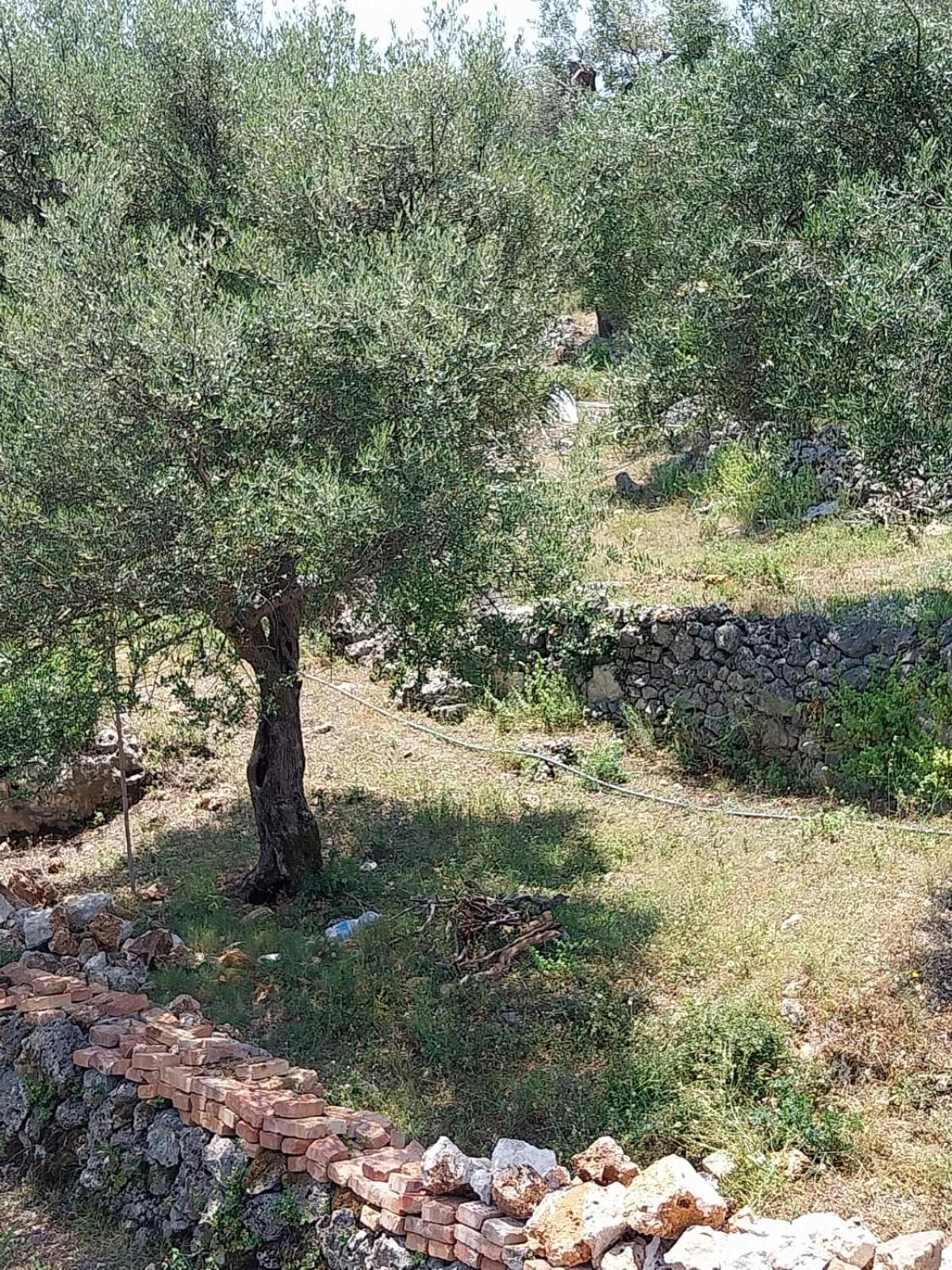 Hotel Lions Lair Himara
