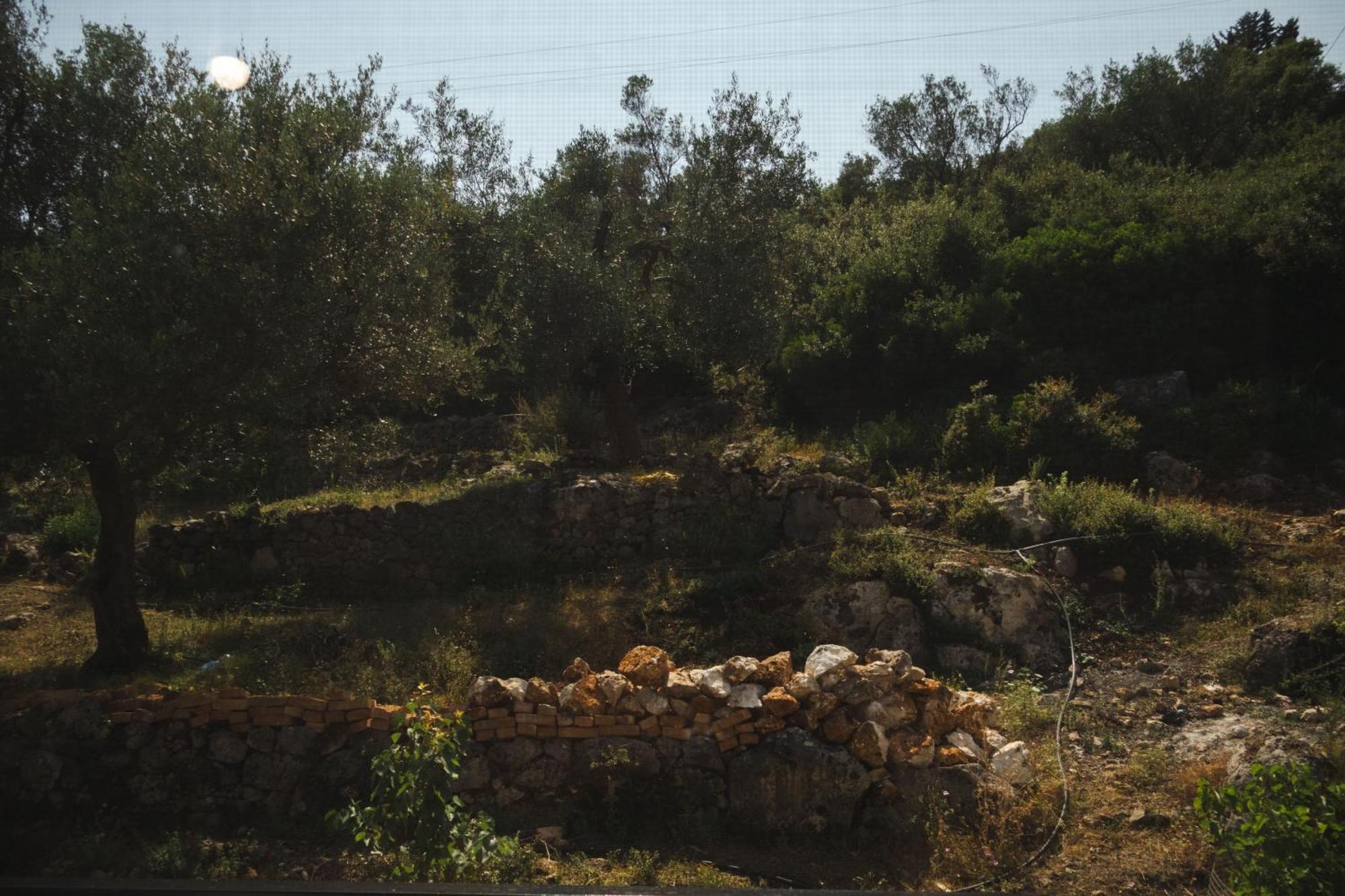 Lions Lair 3* Himara