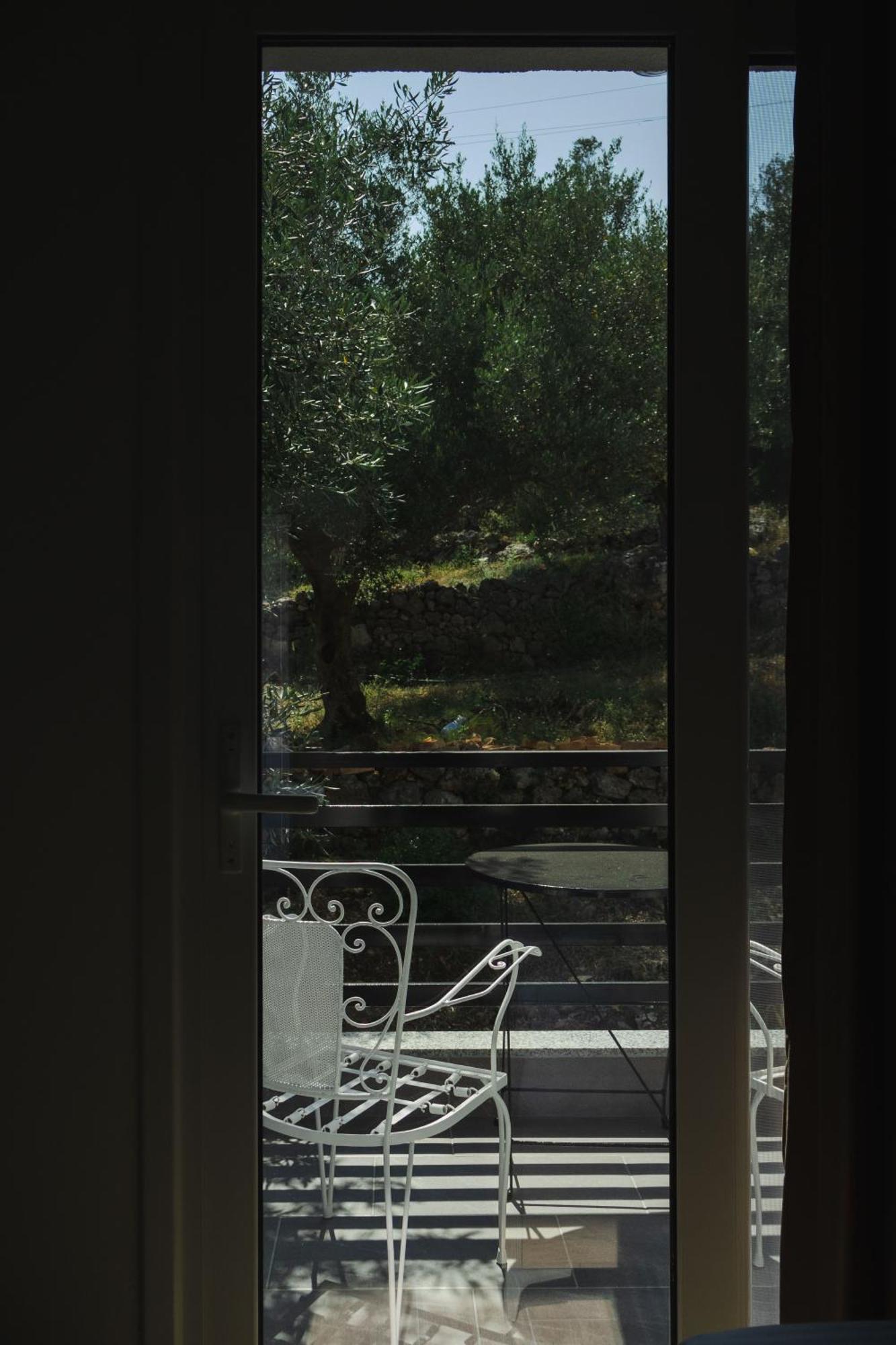 Hotel Lions Lair